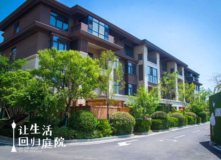 前后张望南阳50年：这样的庭院，，，，，很难再有了！