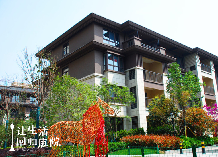 前后张望南阳50年：这样的庭院，，，，，很难再有了！