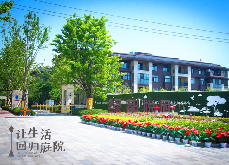 前后张望南阳50年：这样的庭院，，，，，很难再有了！