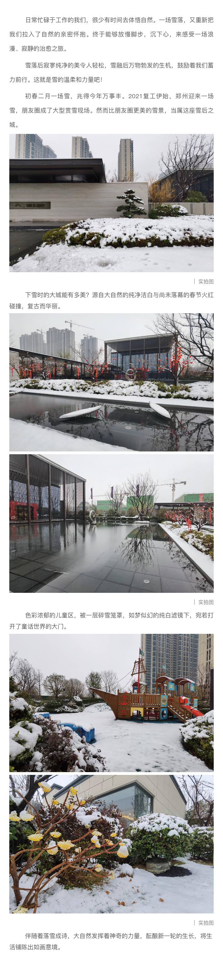 2021浪漫开年，，，，，，，共赏一场鹅毛大雪！