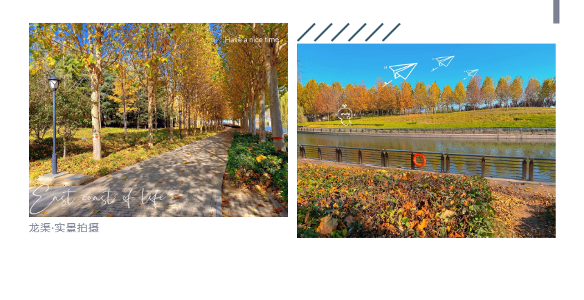 钜惠即止，，，捡漏经开超人气明星热盘！