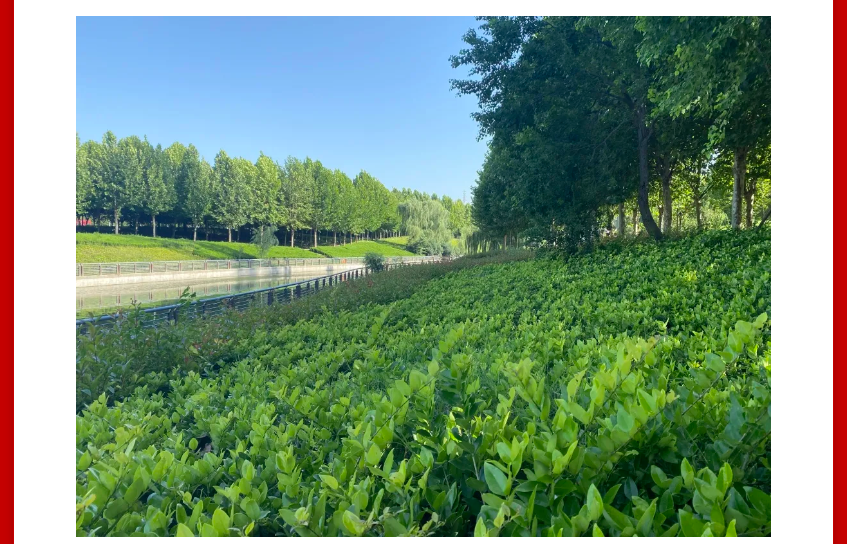 年终薅好房，，，，，这个明星红盘把“出圈”举行究竟！