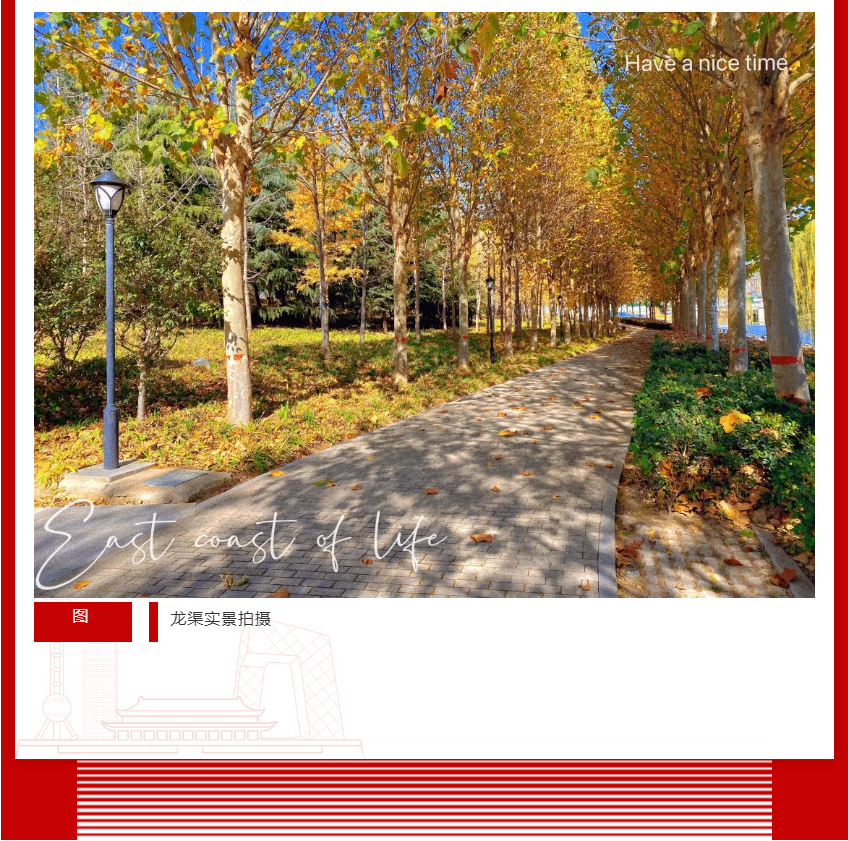 年终薅好房，，，，，这个明星红盘把“出圈”举行究竟！